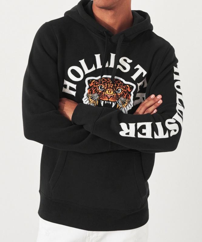 Hollister lion hoodie sale