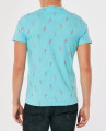 Hollister T-shirt