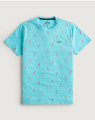 Hollister T-shirt