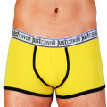 Just Cavalli trunk