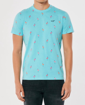 Hollister T-shirt